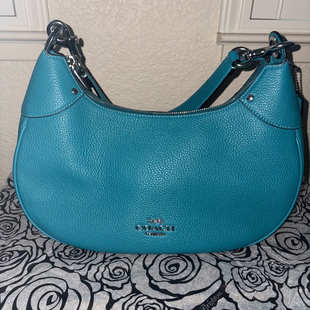 Coach Teri Hobo Bag